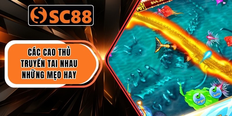 Các cao thủ truyền tai nhau những mẹo hay